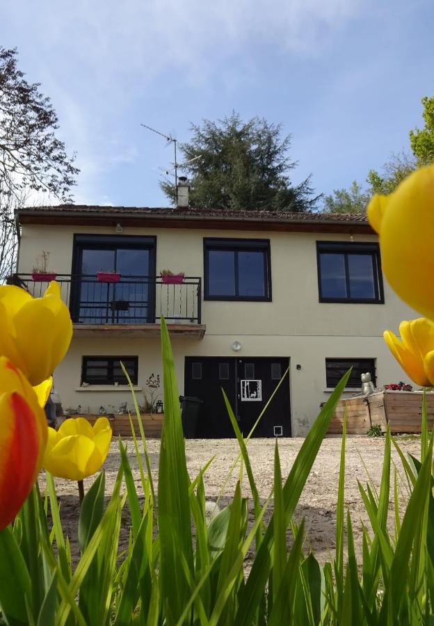 Ferienwohnung Chez Flo et Marc Chouzy-sur-Cisse Exterior foto